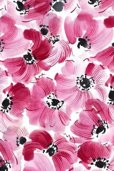 pink and black flowers on a white background