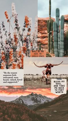 four different pictures with mountains and flowers in the foreground, one has a long horned cow on it's back