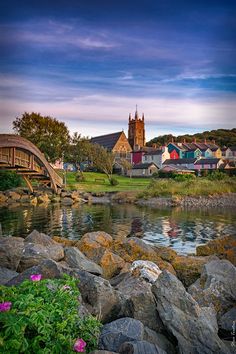 a river with rocks and flowers in front of a small town on the other side