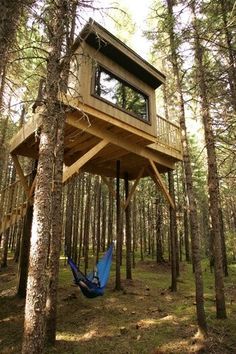 a tree house in the woods with a hammock