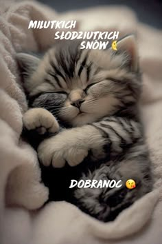 a kitten sleeping on top of a blanket with the caption dobranoc