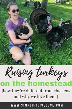 a woman sitting in the grass with two turkeys and text reading raising turkeys on the homestead how they're different from chickens and why we love them?