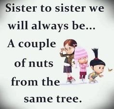 a couple of kids standing next to each other with the caption sister to sister we will always be a couple of nuts from the same tree