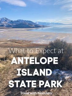 what to expect at antelope island state park