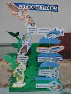 a display with different types of animals and plants on it's sides, in front of a sign that says la cadena tropicala tropicada