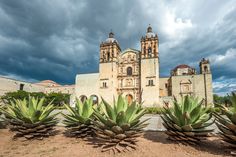 an old church in the middle of a desert with large cactuses on the foreground