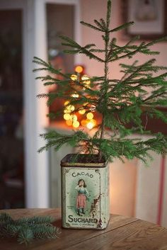 a small christmas tree in a tin can