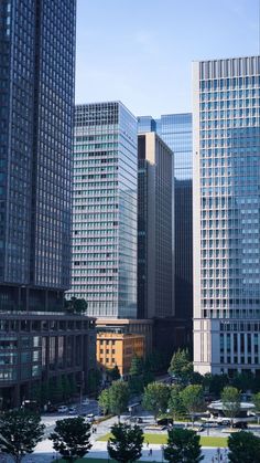 the tall buildings are next to each other in the city center, as well as trees and grass