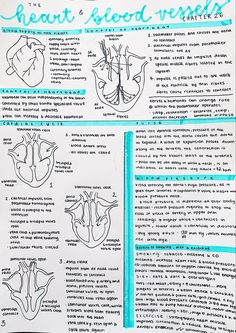 an open book with instructions on how to use the heart and blood vessels in it