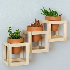 three wooden planters with succulents in them on a white wall next to each other