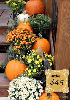 pumpkins and daisies are arranged on the steps for fall decor with an under $ 45 sign