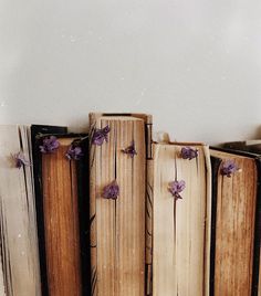 three old books with purple flowers on them