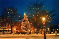 a lit christmas tree in the middle of a snowy street