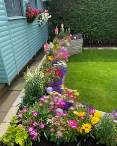 colorful flowers line the edge of a garden bed in front of a blue building with green grass