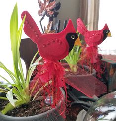 two red birds sitting on top of a potted plant