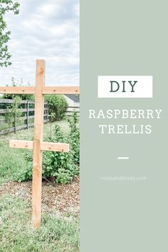 a wooden cross sitting in the middle of a field with text overlay that reads diy raspberry trellis