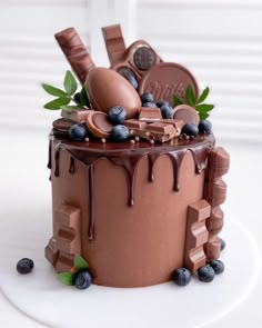 a chocolate cake with blueberries and mints on top