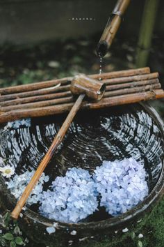 a bowl filled with blue and white flowers sitting on top of a grass covered field