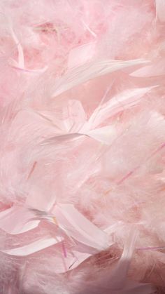 pink and white feathers are scattered on top of each other in this close up photo