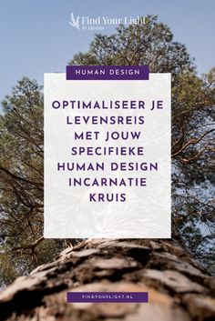 a tree trunk with the words optimaliser je leviseres met jow specifiek human design incarantie krus