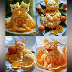 four pictures of cats made out of oranges