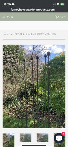 an image of a garden with metal poles and plants in the foreground, along with text that reads set of 4 tall rusty metal