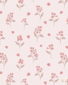 pink flowers and leaves on a light pink background