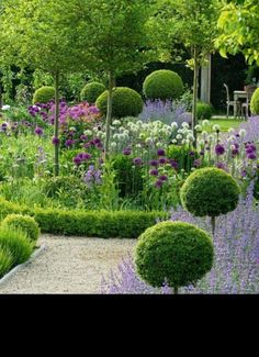 a garden filled with lots of different types of flowers and plants in the middle of it