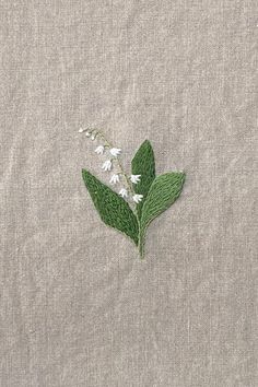 some white flowers and green leaves on a gray surface