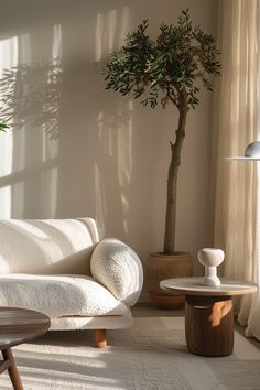 a living room filled with furniture and a potted tree in the middle of the room