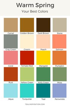 the color chart for warm spring