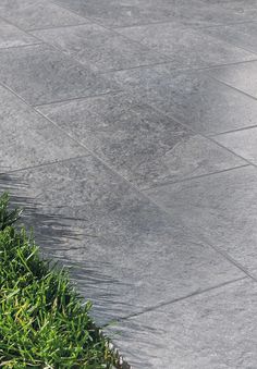 a bird is sitting on the edge of a planter in front of a sidewalk