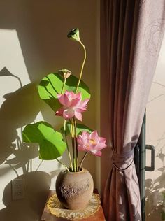 a potted plant sitting on top of a wooden table next to a window sill