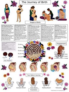 the journey of birth chart with pictures and instructions for children to learn how to use it