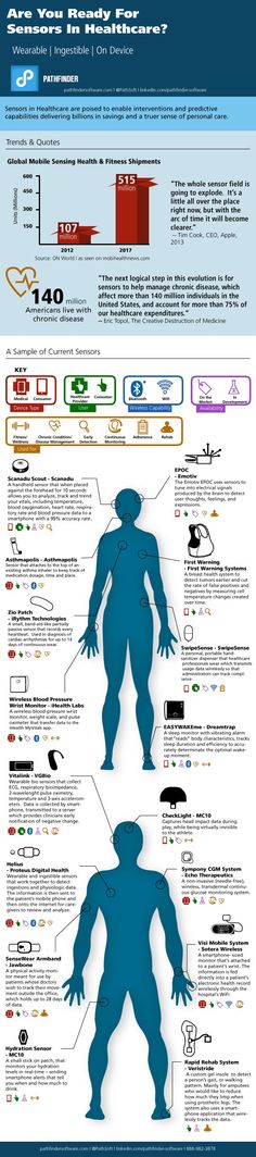 the anatomy of an alien is shown in this infographal poster, with information about its