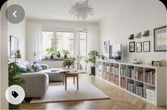 a living room filled with furniture and lots of windows