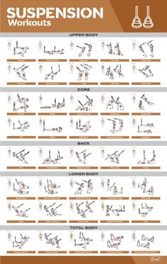 the suspension workout chart shows how to do it and what you can do with it