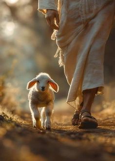 a person walking down a path with a lamb in their hand and another animal on the other side