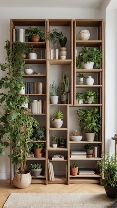 a living room filled with lots of plants and bookshelves on top of wooden shelves