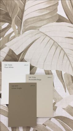 two shades of gray and white on a bed with palm leaves in the foreground