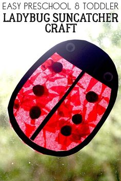 a close up of a red and black ladybug on a window sill