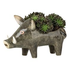 a ceramic rhino planter with succulents in it