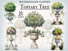 Topiary Tree PNG Bundle Digital Garden, Garden Clipart, Safari Baby Animals, Topiary Tree, Plants Art, Valentines Day Clipart, Tree Png, Topiary Trees, Png Floral