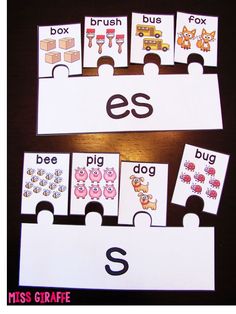 the letter s is for animals and its matching cards