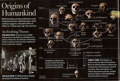 the origins of humans and their human body are depicted in this poster, which is also on display