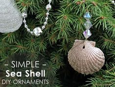 some ornaments hanging from a christmas tree with the words simple sea shell diy ornaments