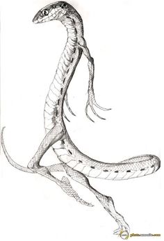 a drawing of a snake with long legs