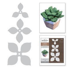 the paper crafter's workshop kit includes four different flower designs and two cards