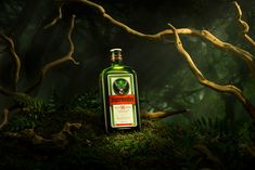 a bottle of liquor sitting on top of a lush green forest covered in trees and branches