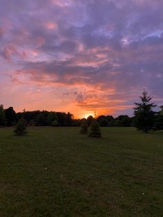 the sun is setting over some trees in a grassy field with purple and orange clouds